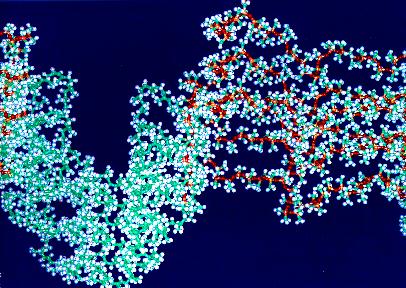 [gaint polymers]